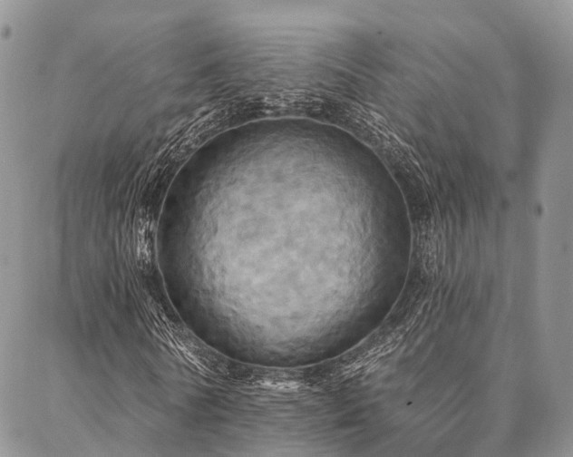 X0000087350770200704201121