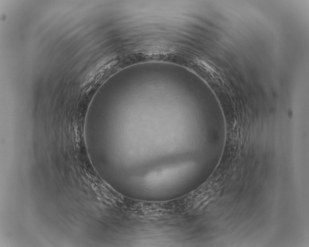 X0000087350774200704201121