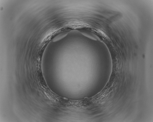 X0000087350775200704201121