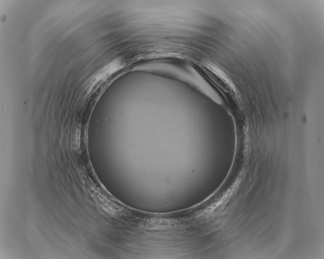 X0000087350777200704201121