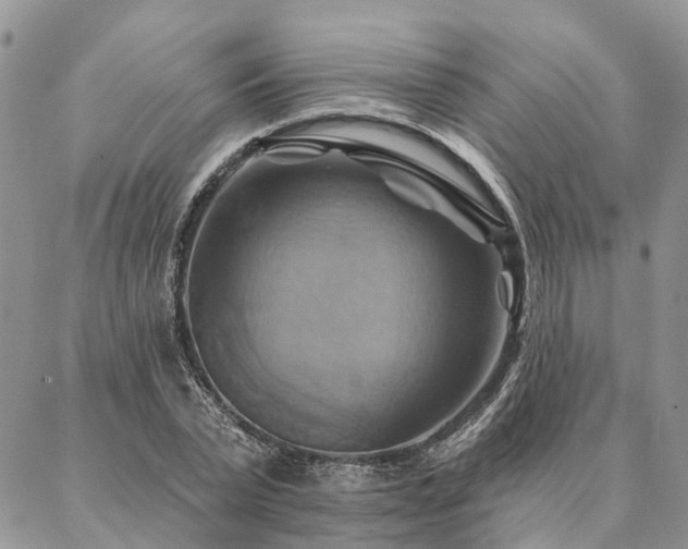 X0000087350783200704201121