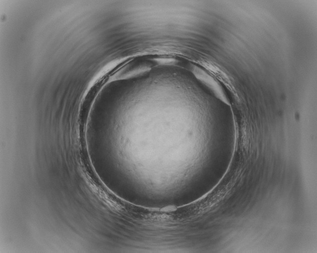 X0000087350784200704201121