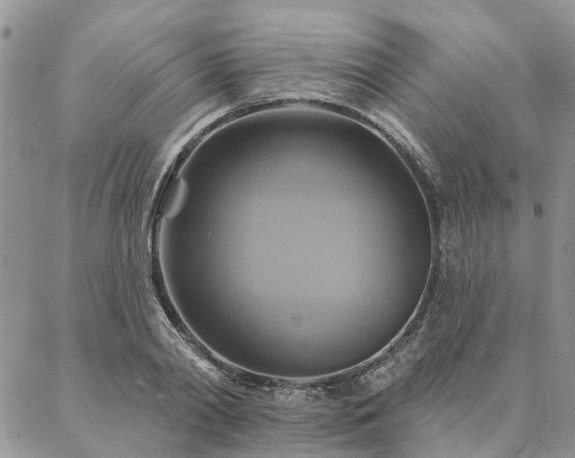 X0000087350790200704201121