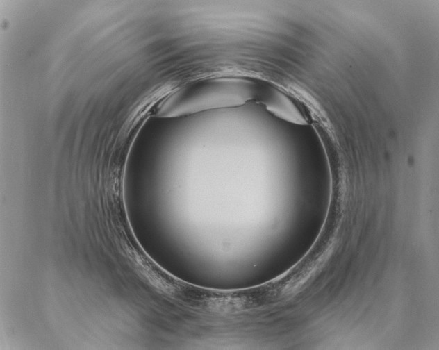X0000087350793200704201121