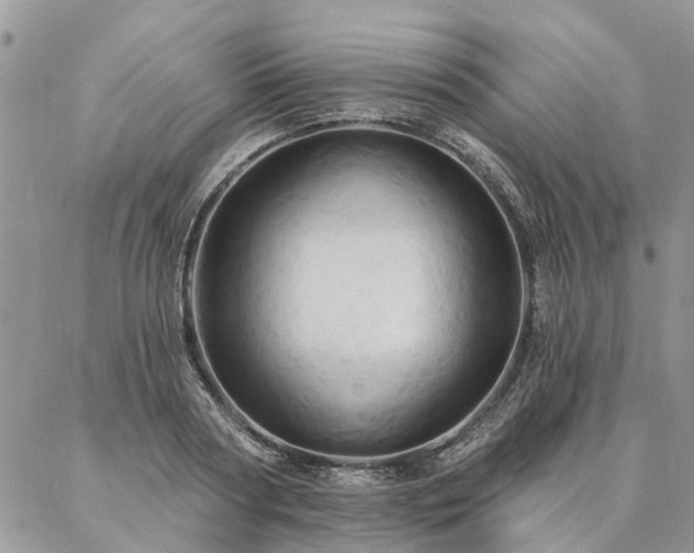 X0000087350794200704201121