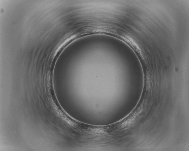 X0000087350798200704201121