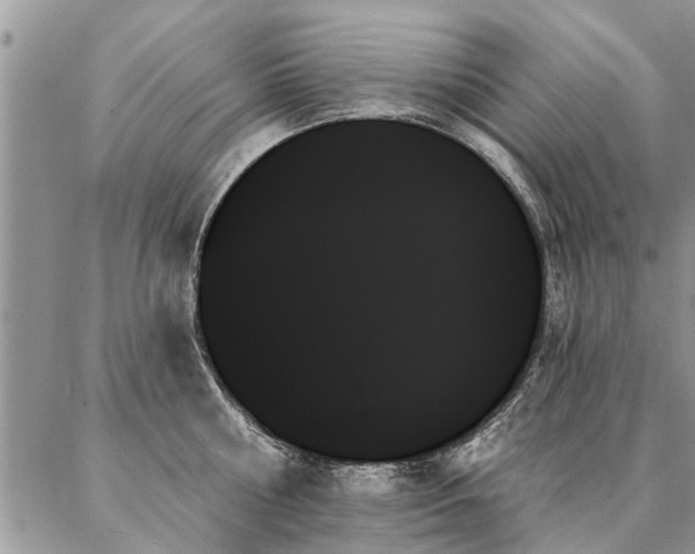 X0000087350810200704201120