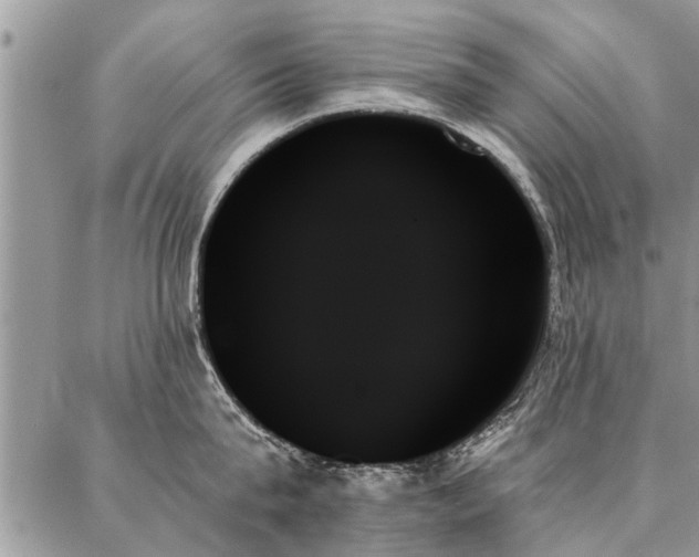 X0000087350815200704201120