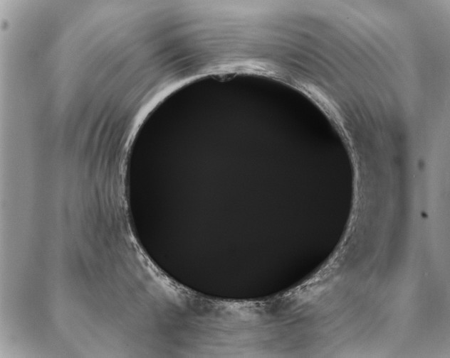 X0000087350816200704201120