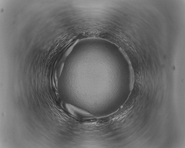 X0000087350818200704201120