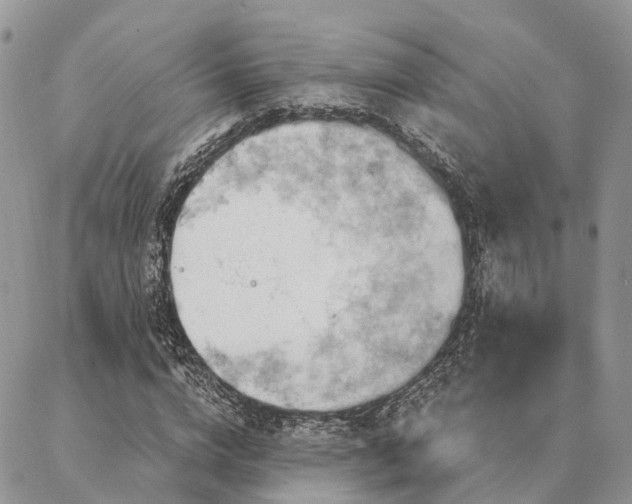 X0000087350824200704201120