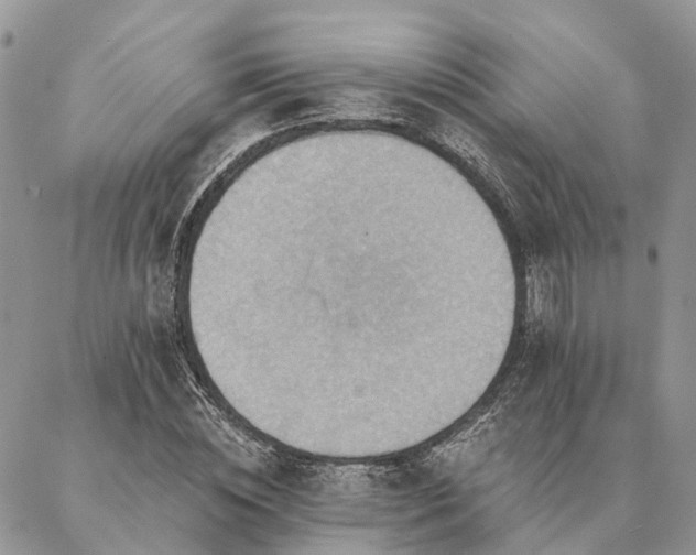 X0000087350828200704201120