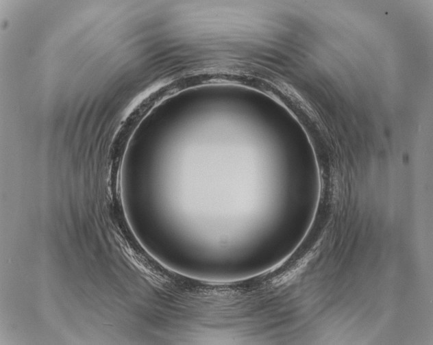 X0000087350830200704201120