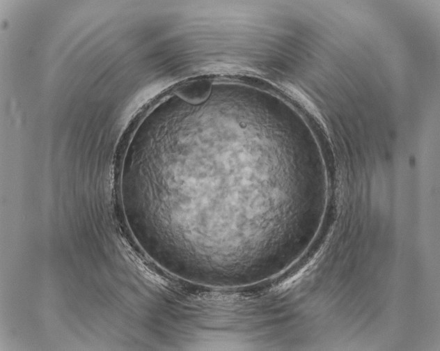 X0000087350831200704201120