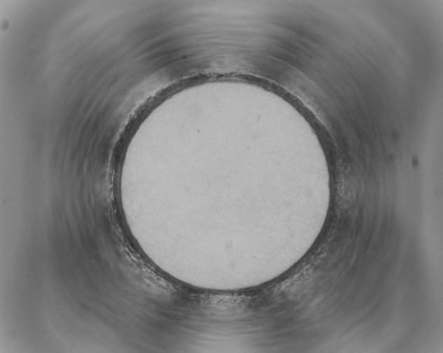 X0000087350832200704201120