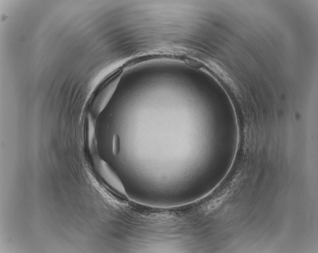 X0000087350838200704201120
