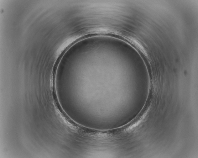X0000087350839200704201120