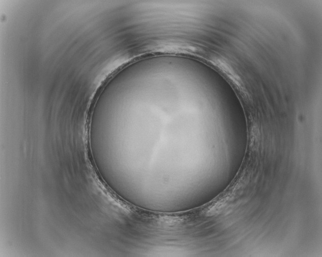 X0000087350848200704201120