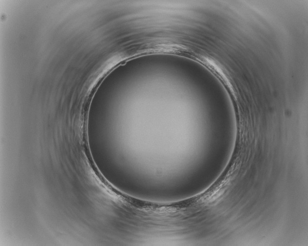 X0000087350851200704201120
