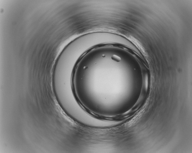 X0000087350854200704201120