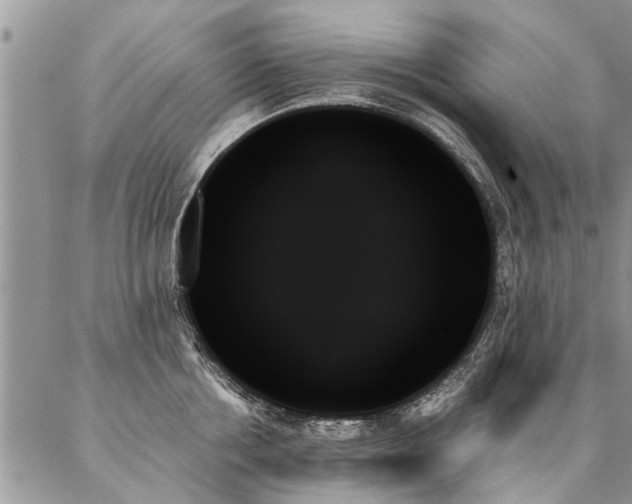 X0000087350858200704201120