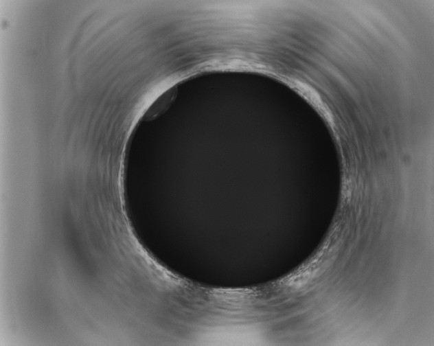 X0000087350863200704201120