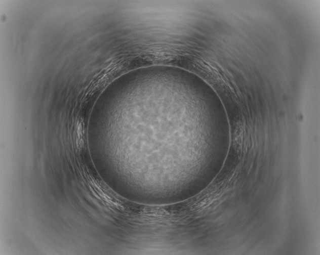 X0000087350866200704201120