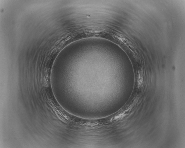 X0000087350868200704201119