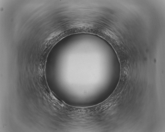 X0000087350869200704201119