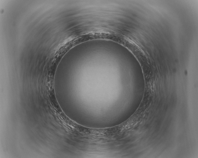 X0000087350870200704201119