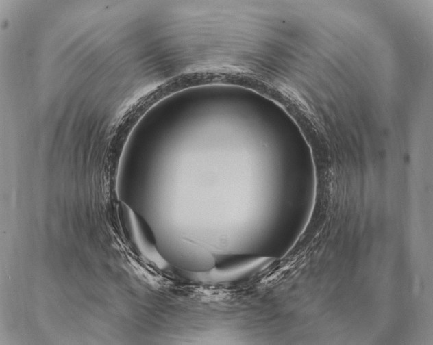 X0000087350872200704201119