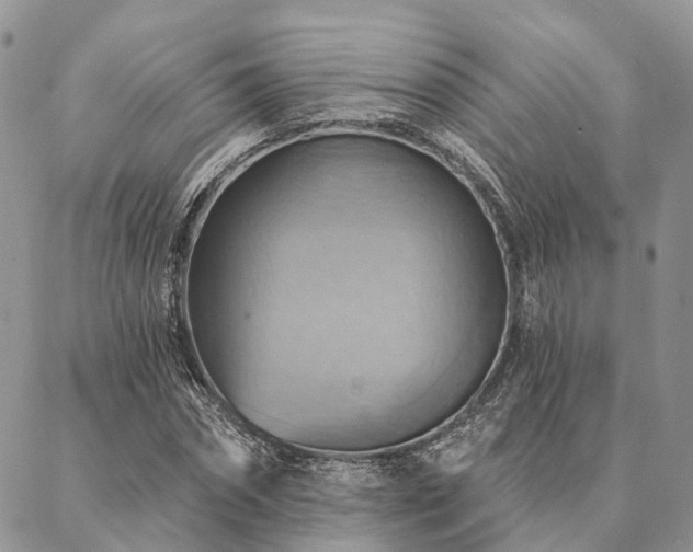 X0000087350874200704201119