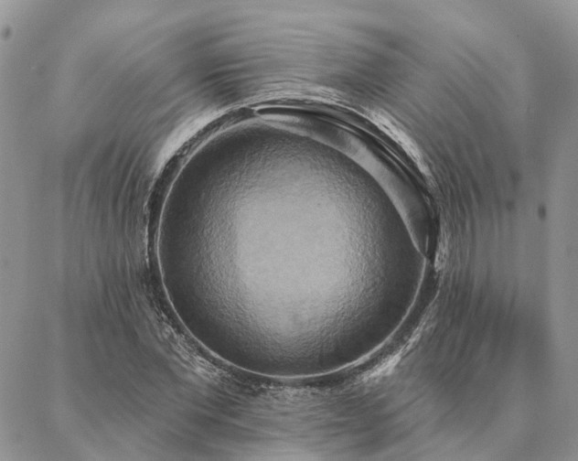 X0000087350877200704201119