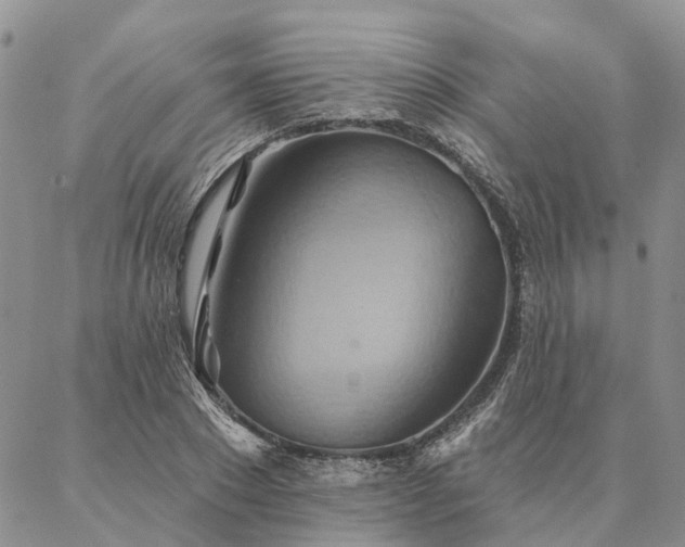 X0000087350881200704201119