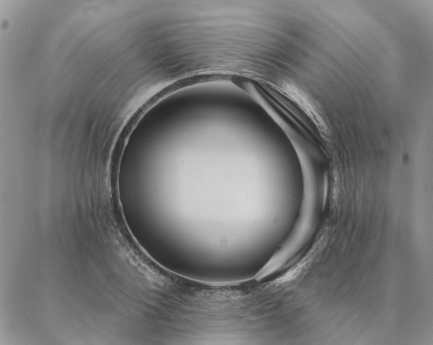 X0000087350884200704201119