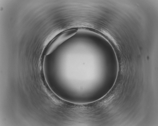 X0000087350885200704201119