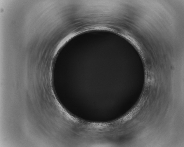 X0000087350910200704201119