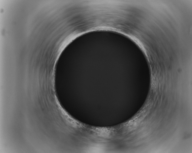 X0000087350911200704201119