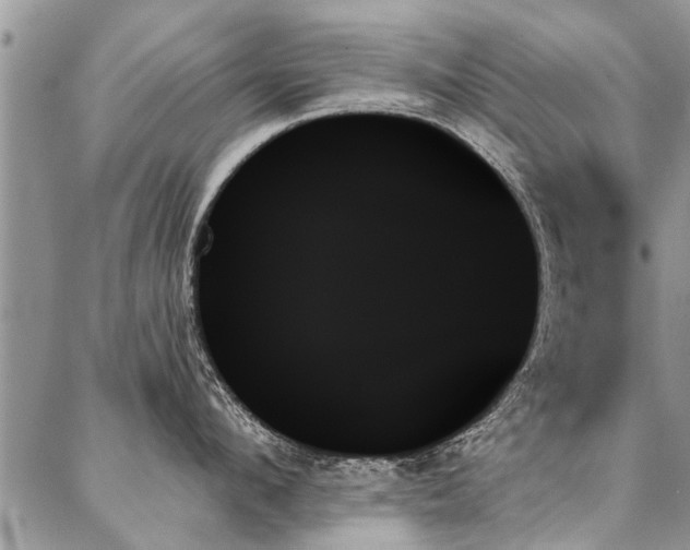 X0000087350912200704201119