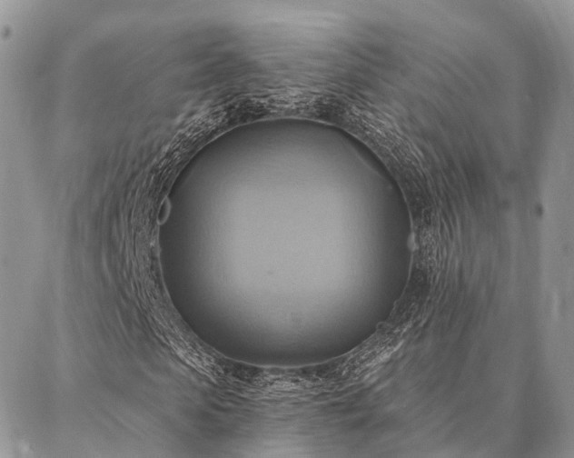 X0000087350913200704201118