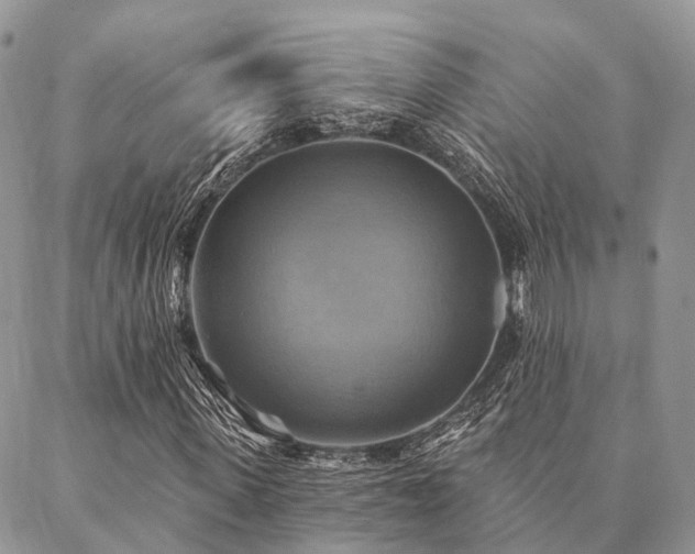 X0000087350915200704201118