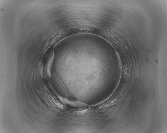 X0000087350916200704201118