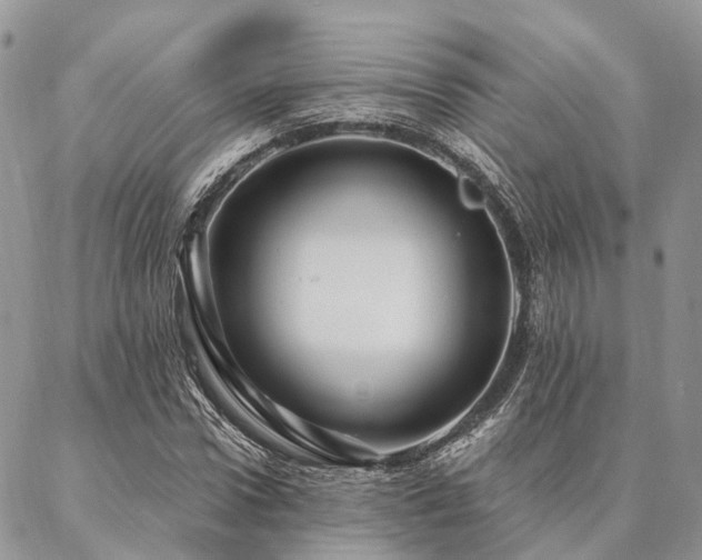 X0000087350922200704201118
