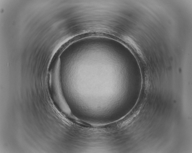 X0000087350924200704201118