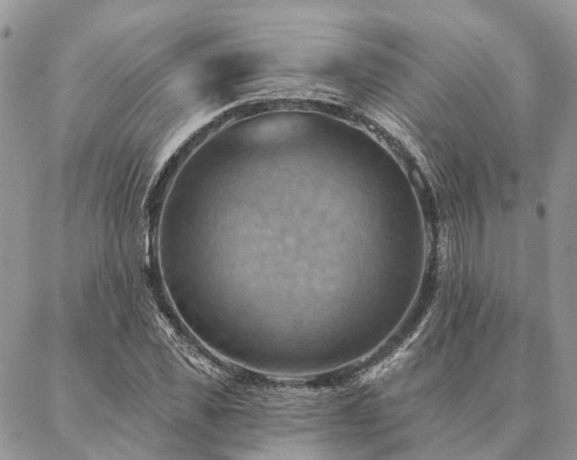 X0000087350925200704201118
