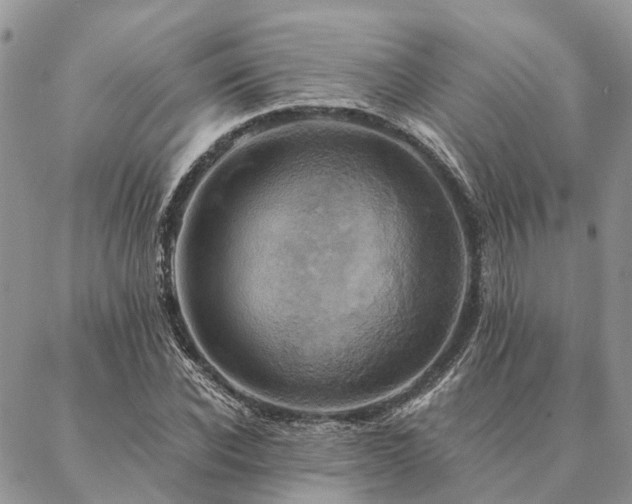 X0000087350926200704201118