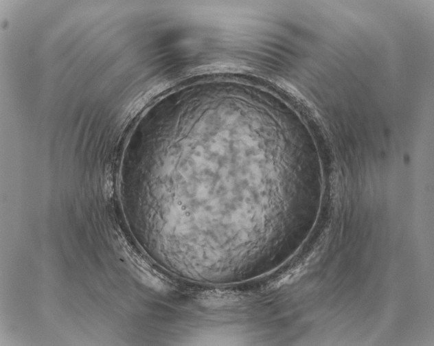 X0000087350929200704201118