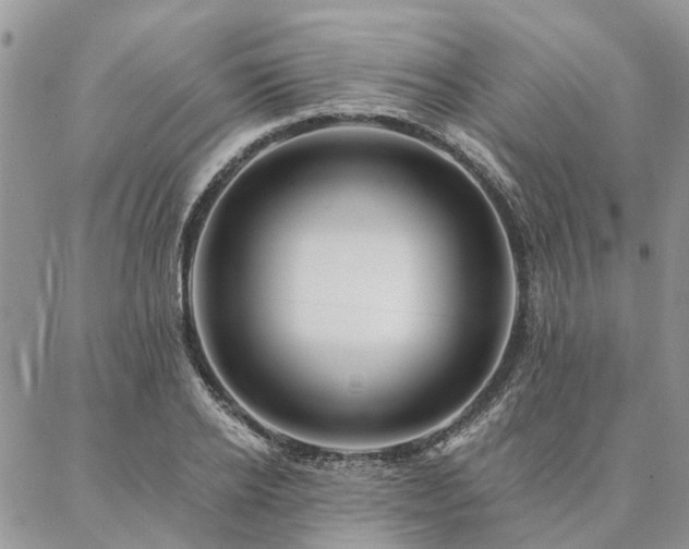 X0000087350934200704201118