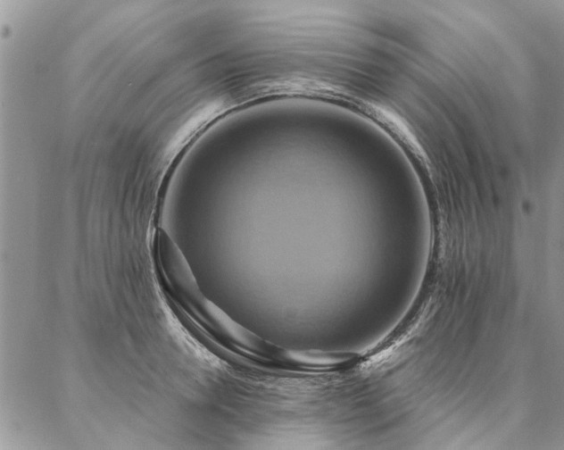 X0000087350946200704201119
