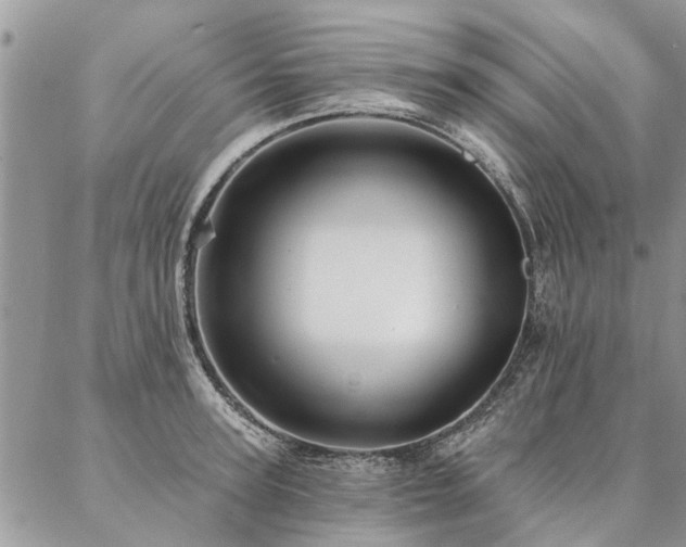 X0000087350947200704201119